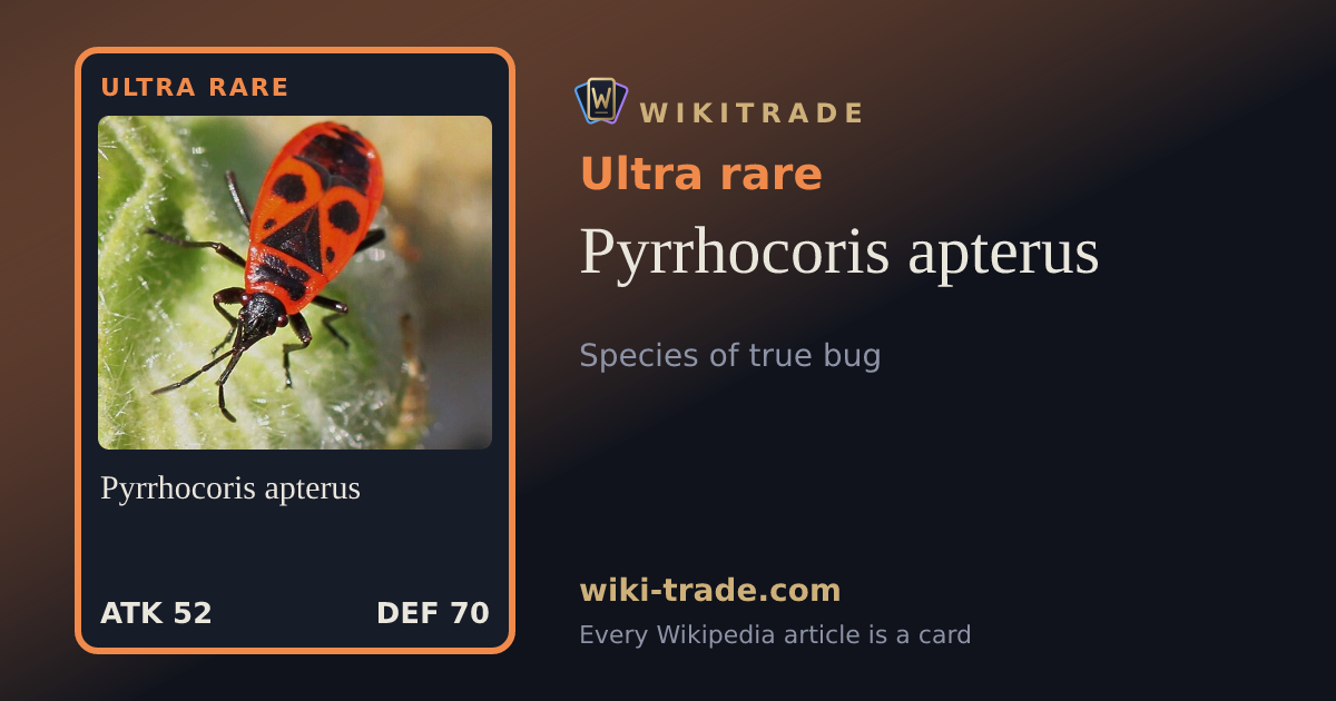 Pyrrhocoris apterus — Ultra rare card