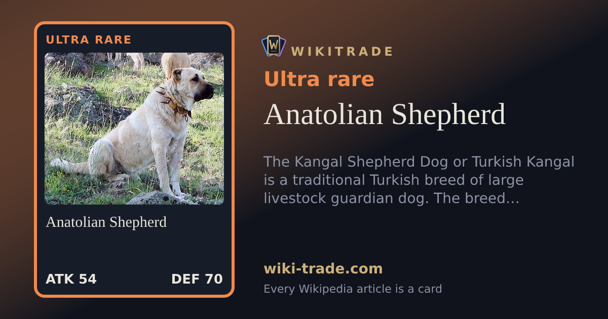 Anatolian Shepherd — Ultra rare card