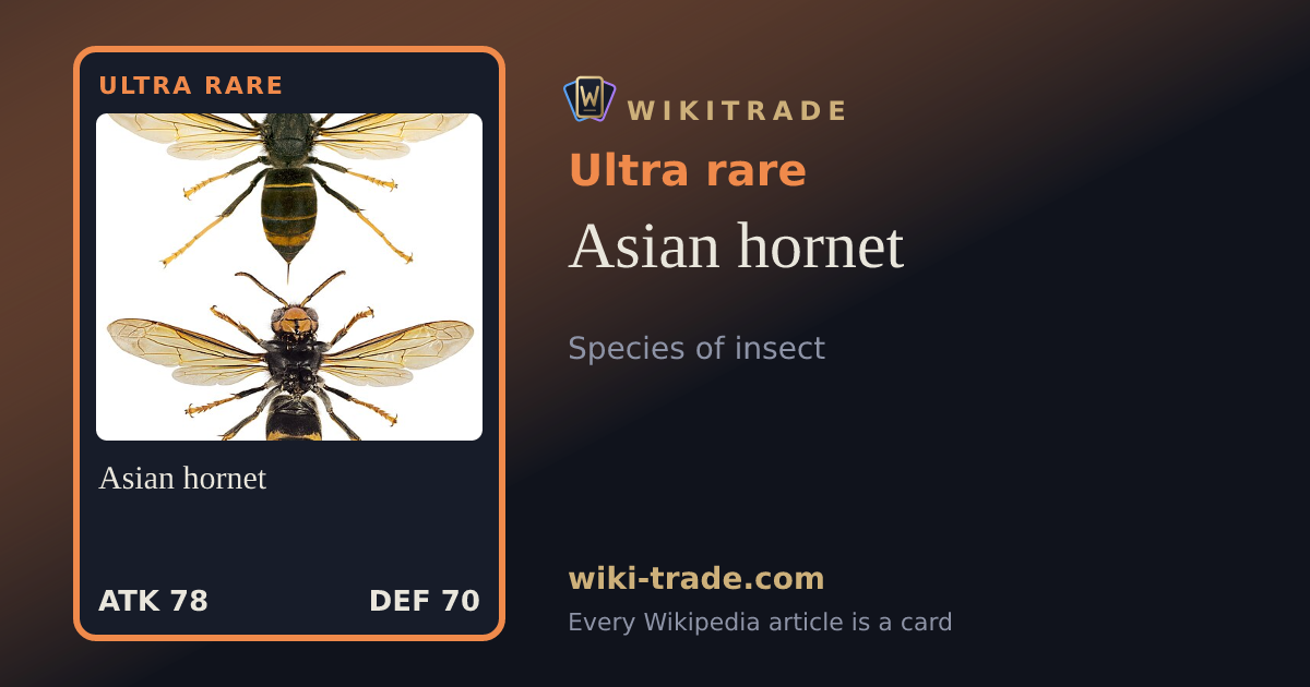Asian hornet — Ultra rare card