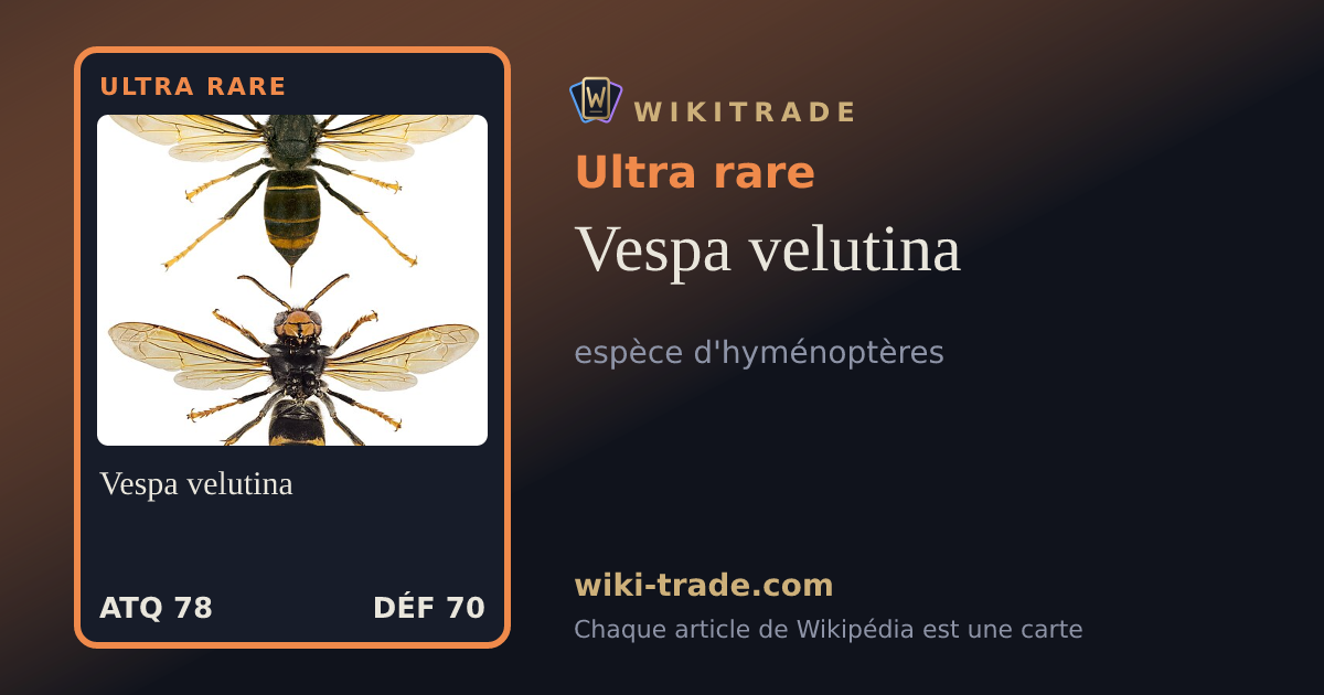 Vespa velutina — carte Ultra rare