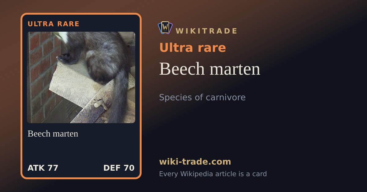Beech marten — Ultra rare card