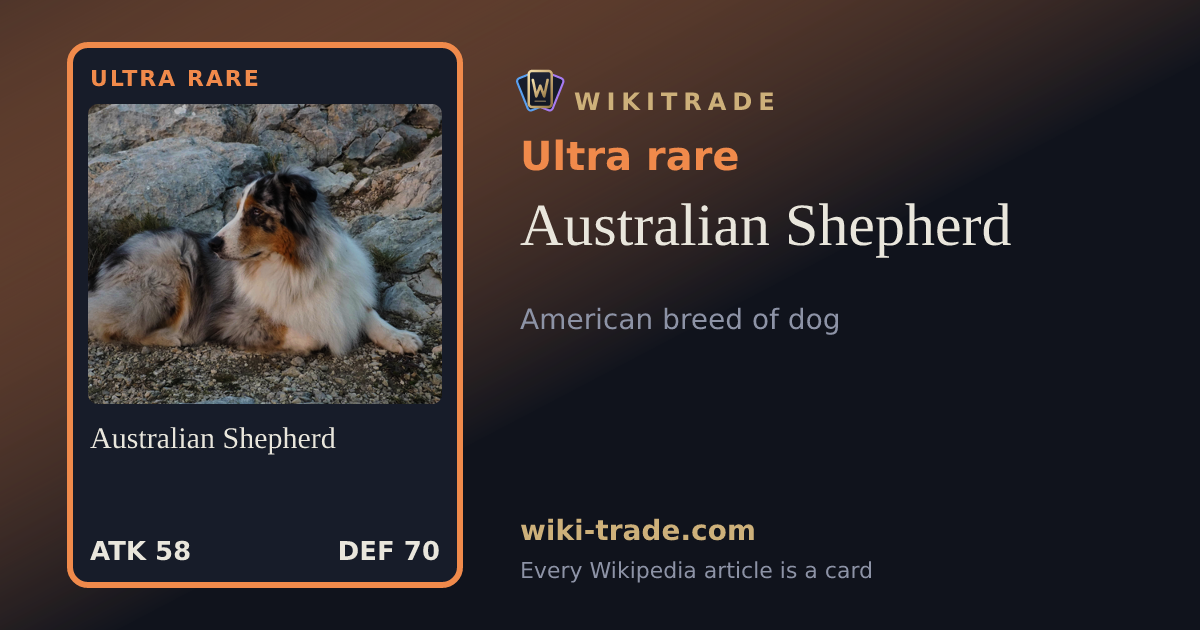 Australian Shepherd — Ultra rare card