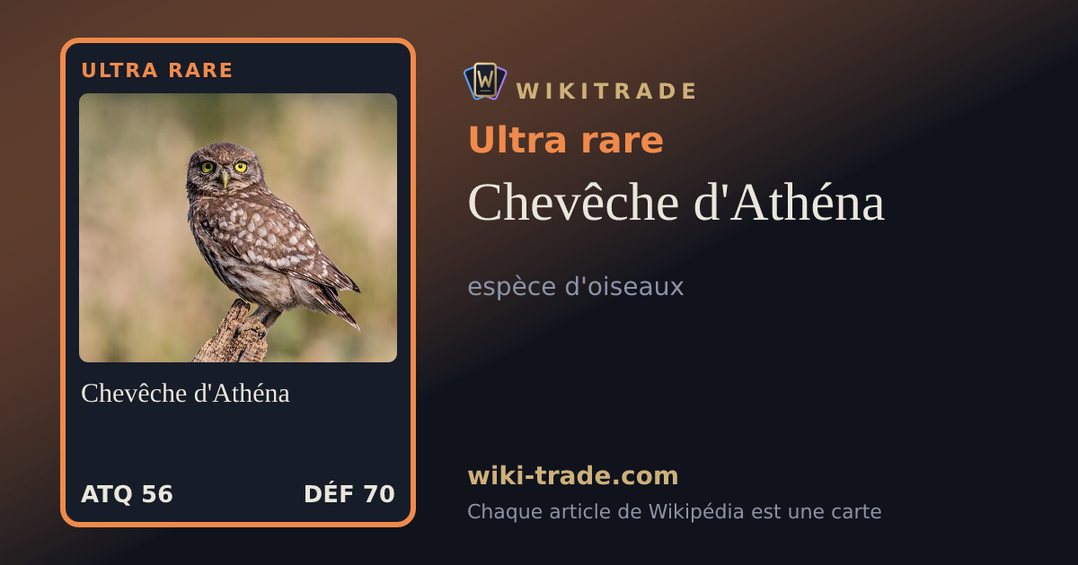 Chevêche d'Athéna — carte Ultra rare
