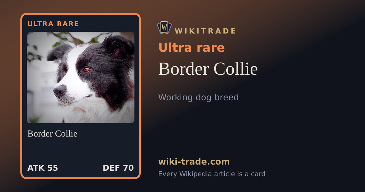 Border Collie — Ultra rare card