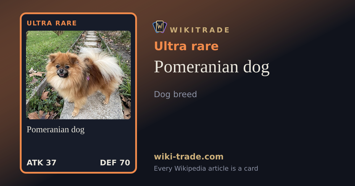 Pomeranian dog — Ultra rare card