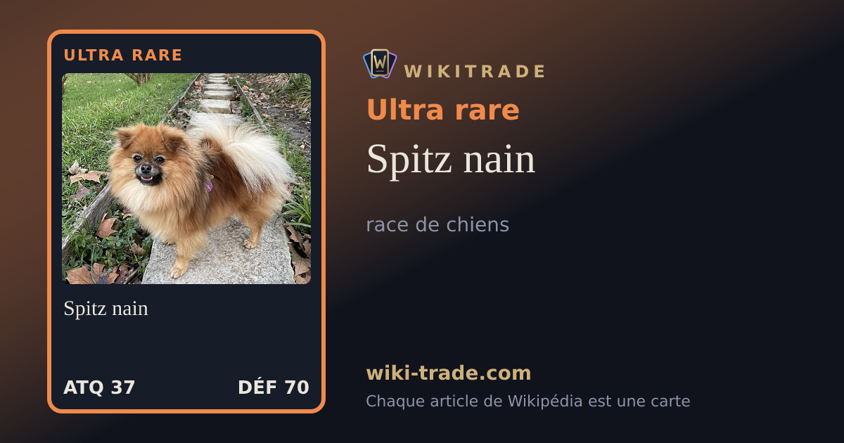 Spitz nain — carte Ultra rare
