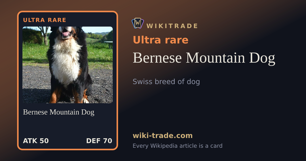 Bernese Mountain Dog — Ultra rare card