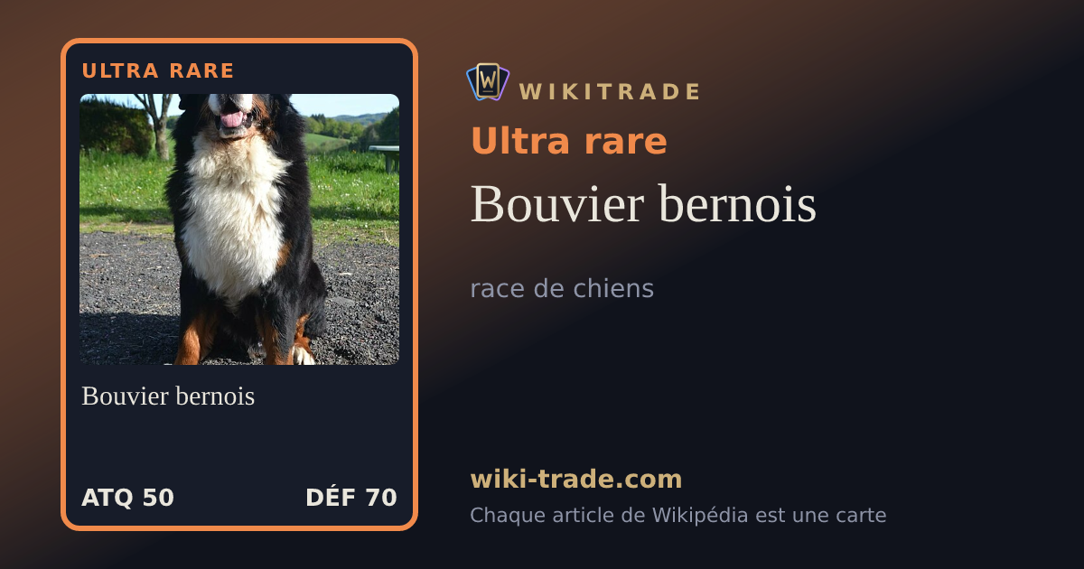 Bouvier bernois — carte Ultra rare
