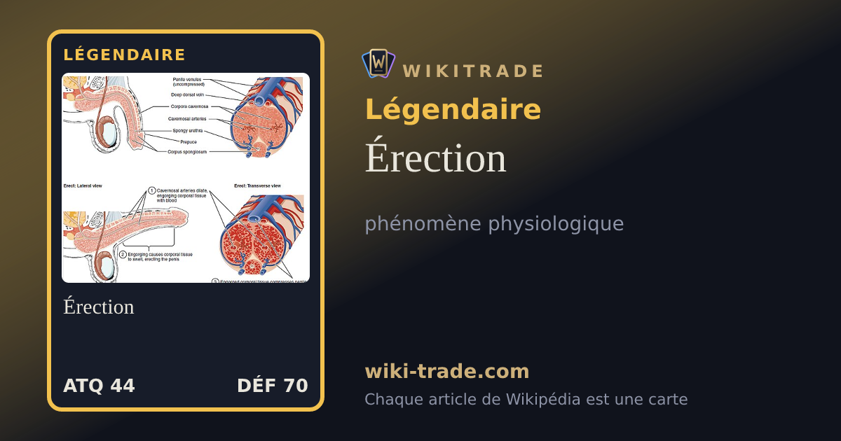Érection — carte Légendaire