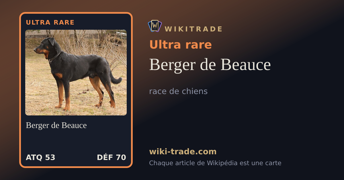 Berger de Beauce — carte Ultra rare