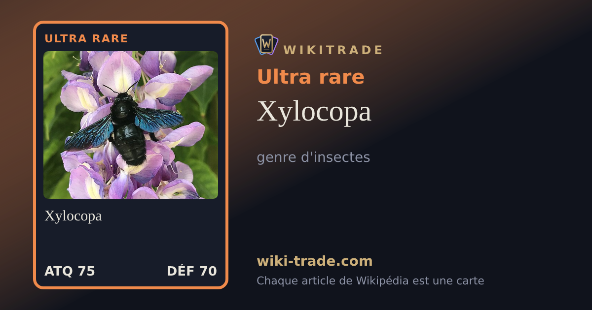 Xylocopa — carte Ultra rare