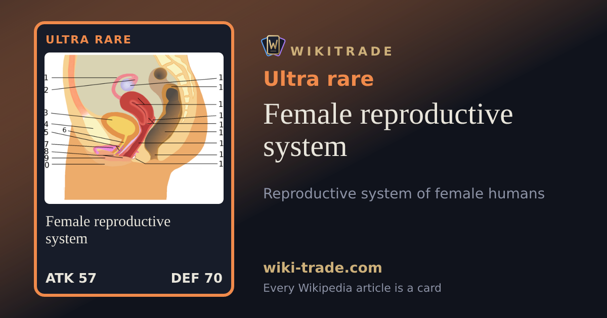 Female reproductive system — Ultra rare card