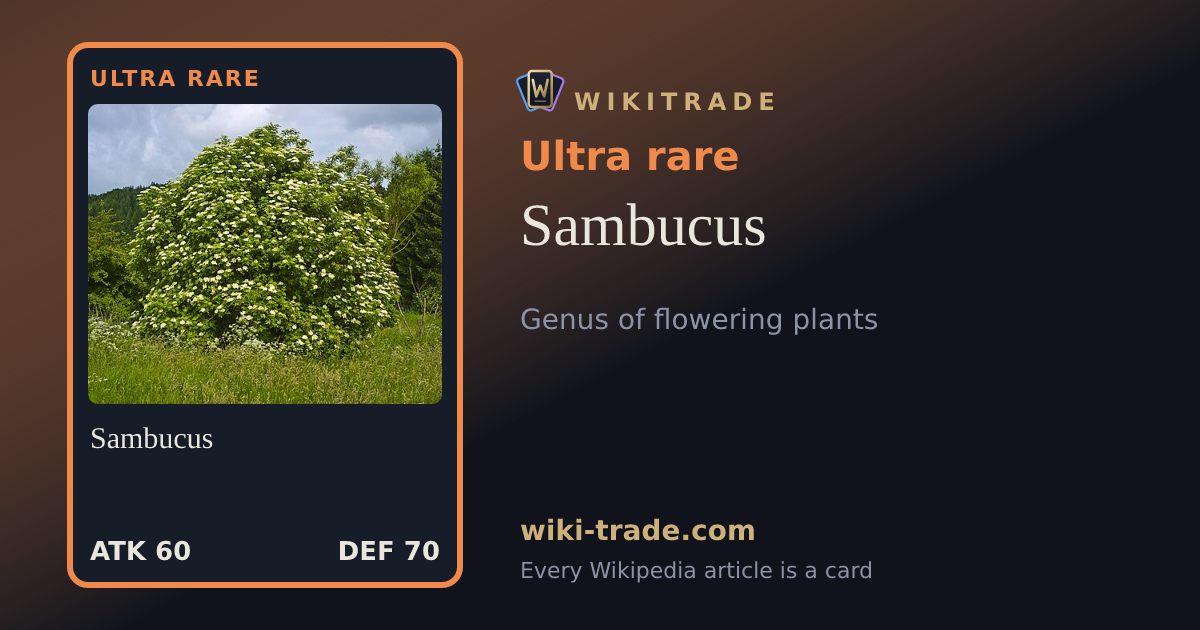 Sambucus — Ultra rare card