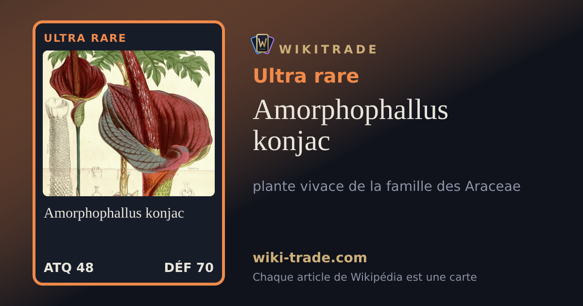 Amorphophallus konjac — carte Ultra rare