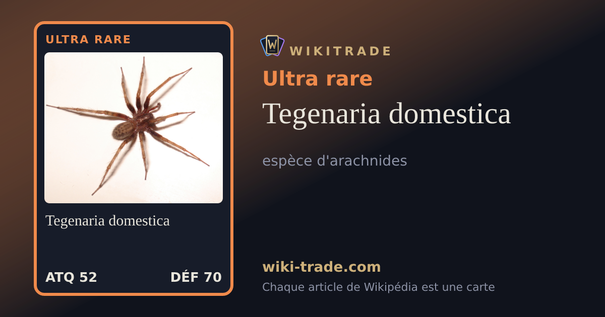 Tegenaria domestica — carte Ultra rare