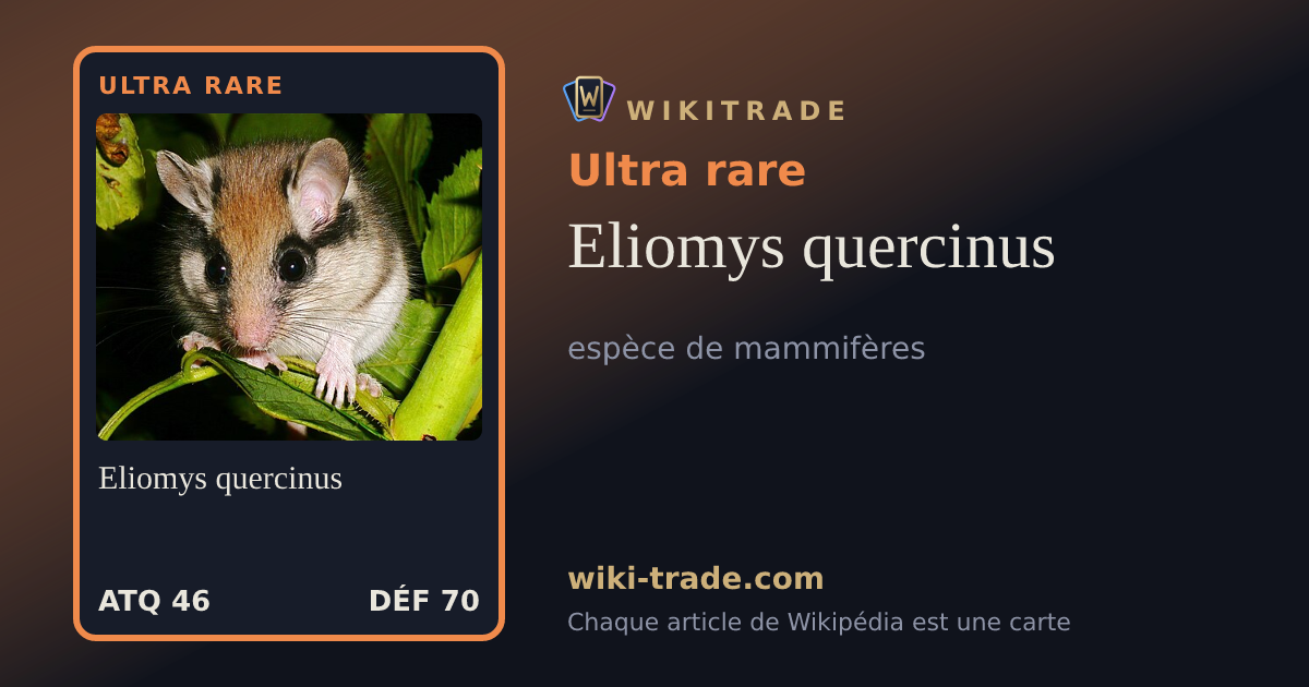 Eliomys quercinus — carte Ultra rare