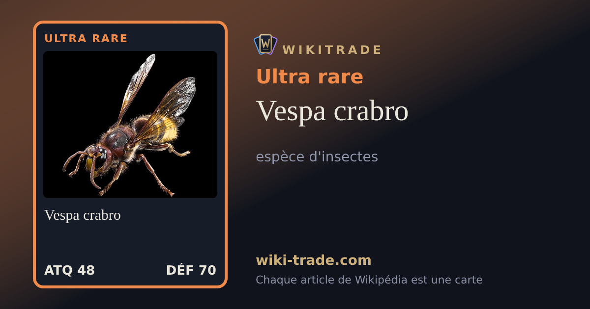 Vespa crabro — carte Ultra rare