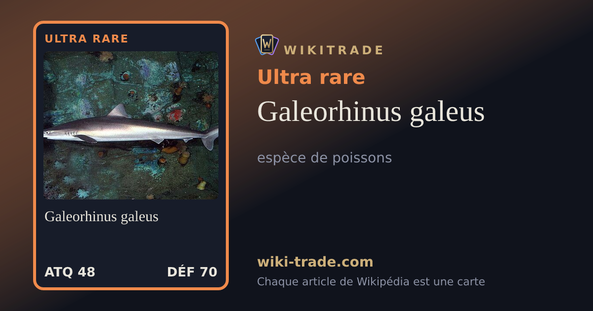 Galeorhinus galeus — carte Ultra rare