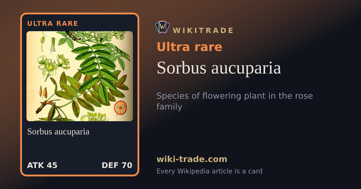 Sorbus aucuparia — Ultra rare card