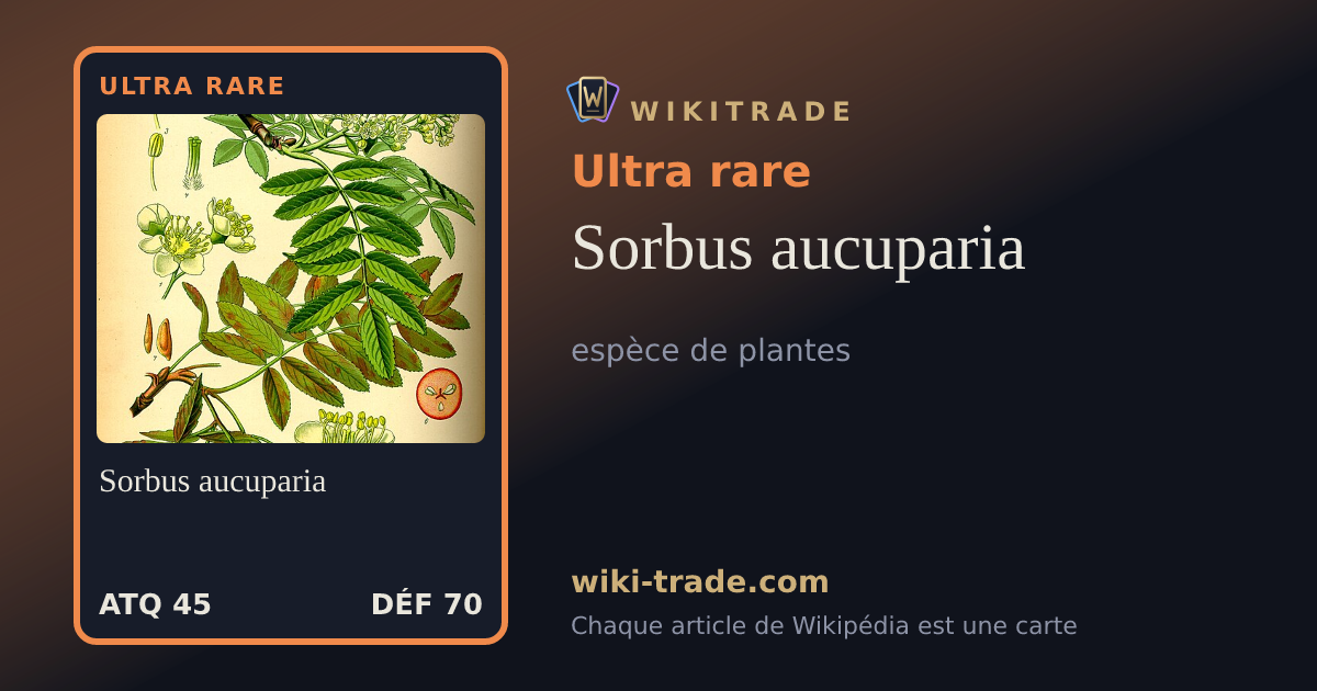 Sorbus aucuparia — carte Ultra rare