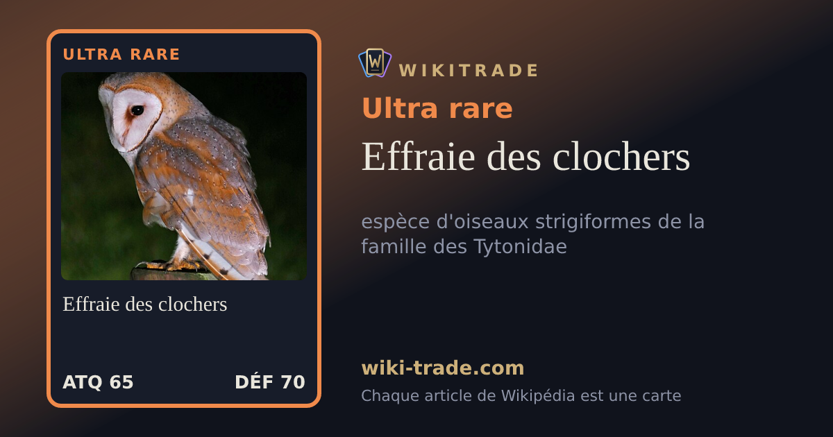 Effraie des clochers — carte Ultra rare