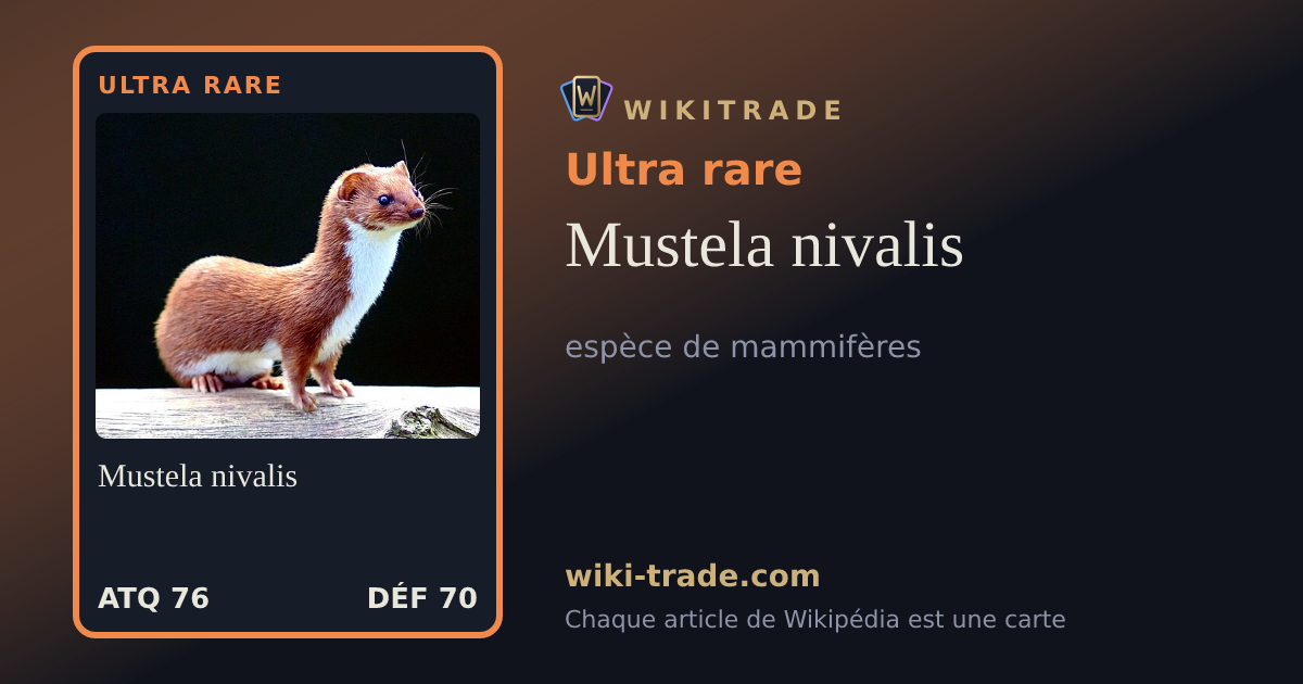 Mustela nivalis — carte Ultra rare