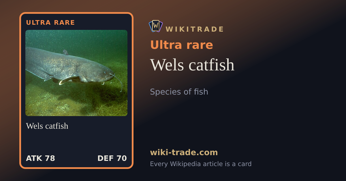 Wels catfish — Ultra rare card