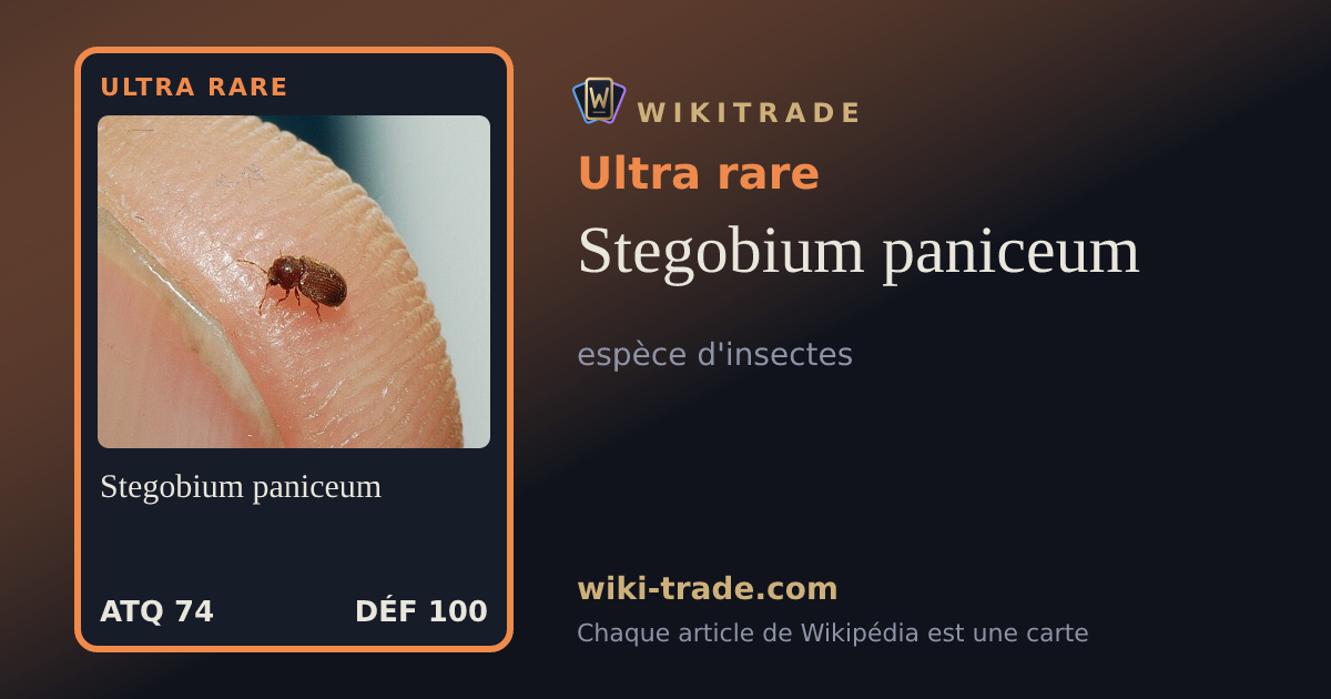 Stegobium paniceum — carte Ultra rare