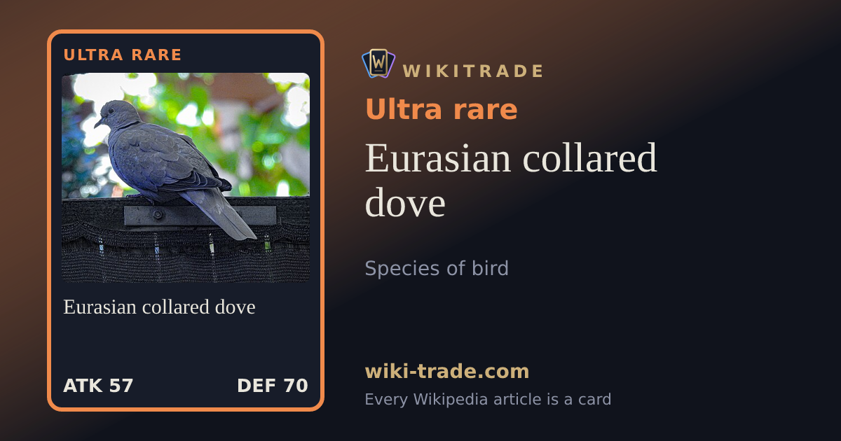 Eurasian collared dove — Ultra rare card