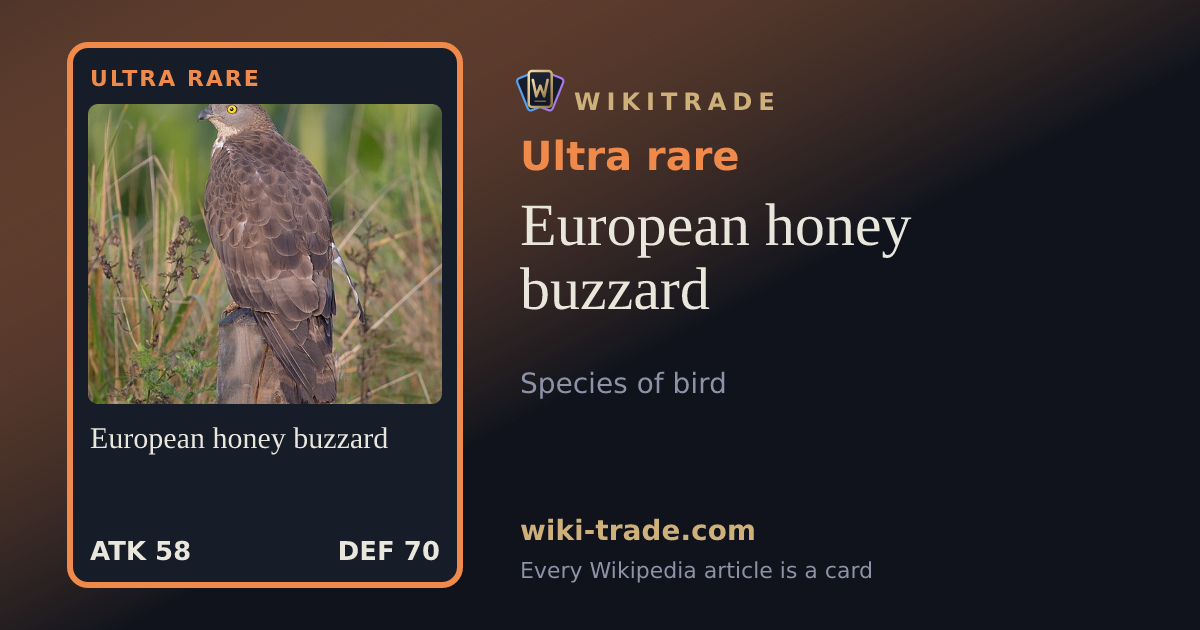 European honey buzzard — Ultra rare card