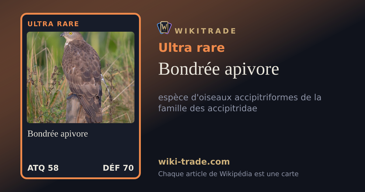 Bondrée apivore — carte Ultra rare