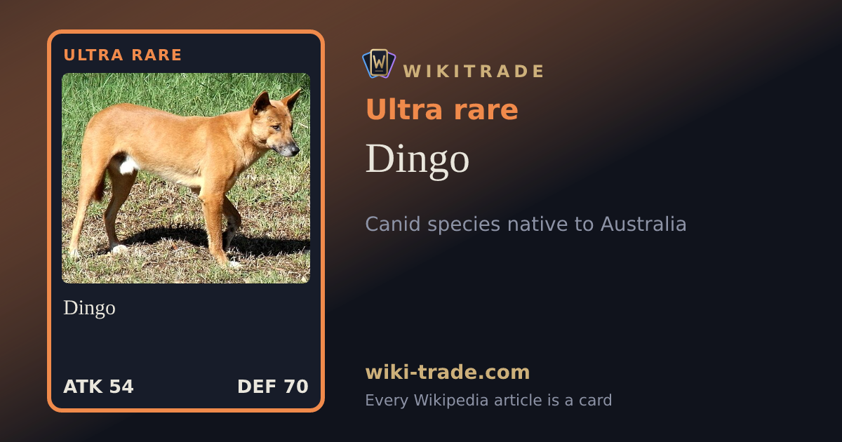 Dingo — Ultra rare card