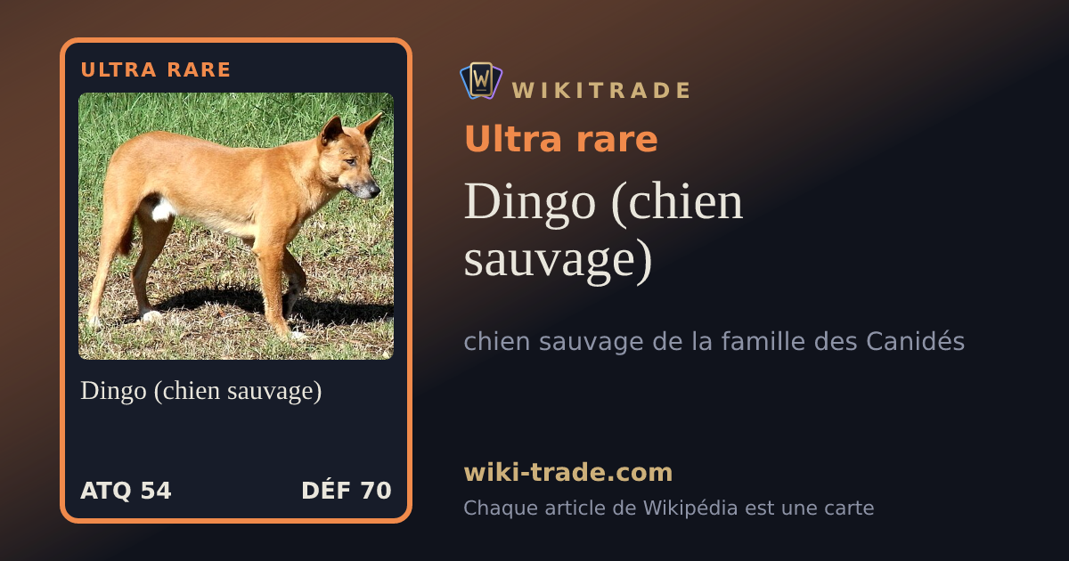 Dingo (chien sauvage) — carte Ultra rare