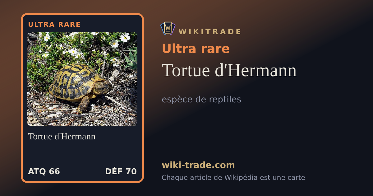 Tortue d'Hermann — carte Ultra rare