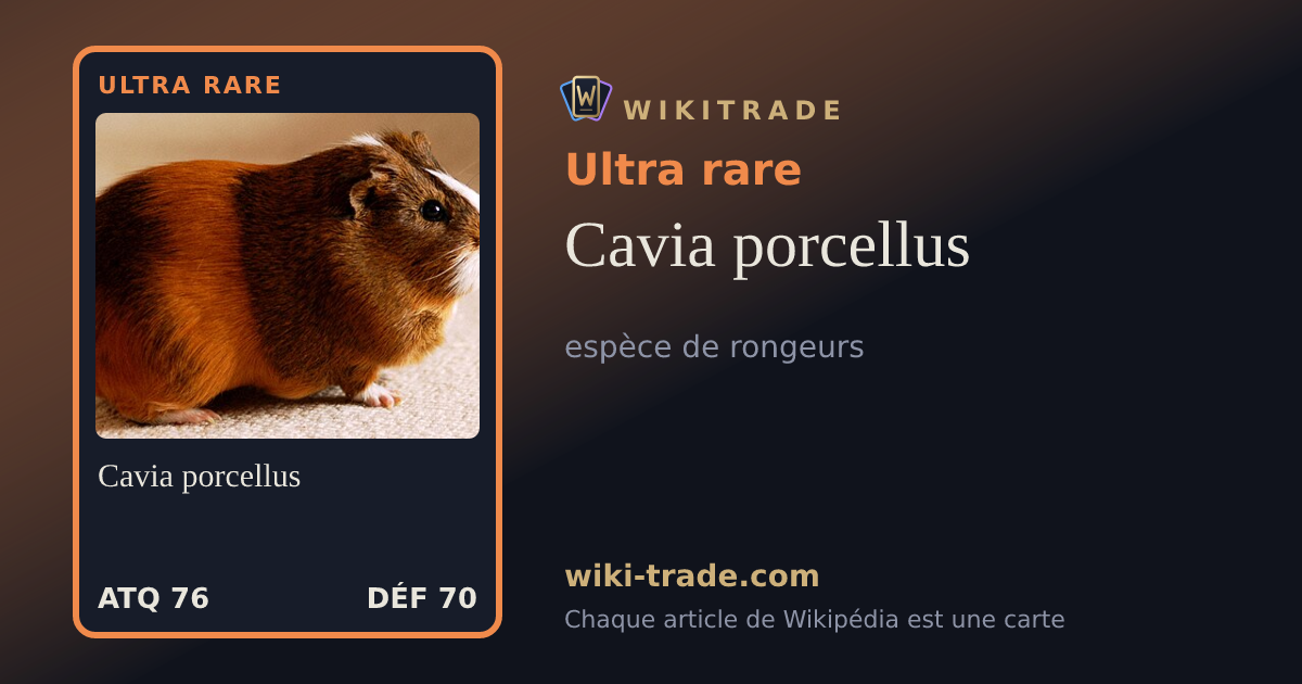 Cavia porcellus — carte Ultra rare