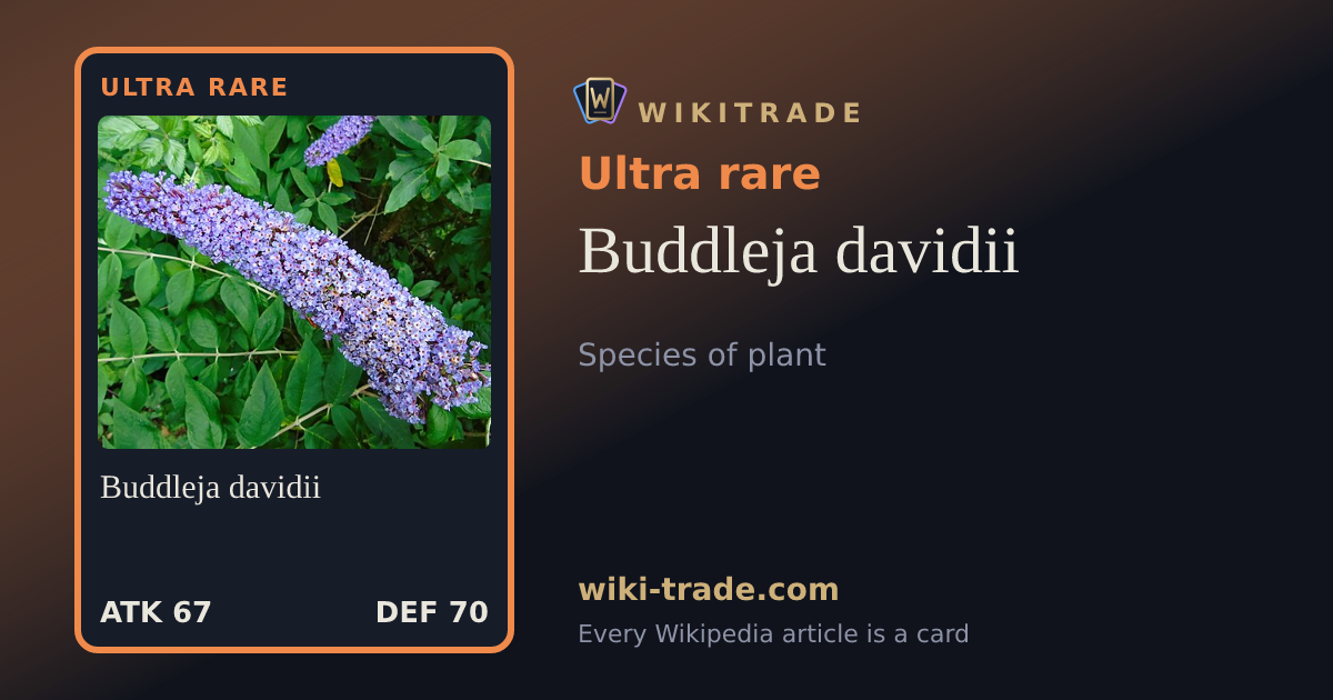 Buddleja davidii — Ultra rare card