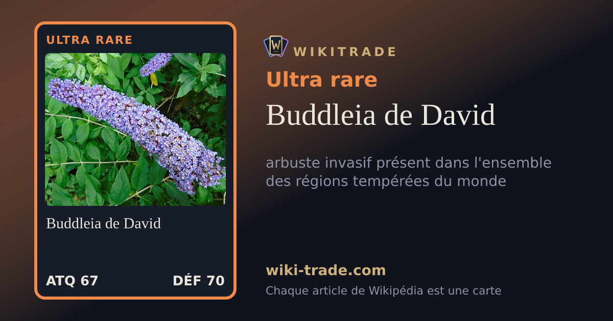Buddleia de David — carte Ultra rare