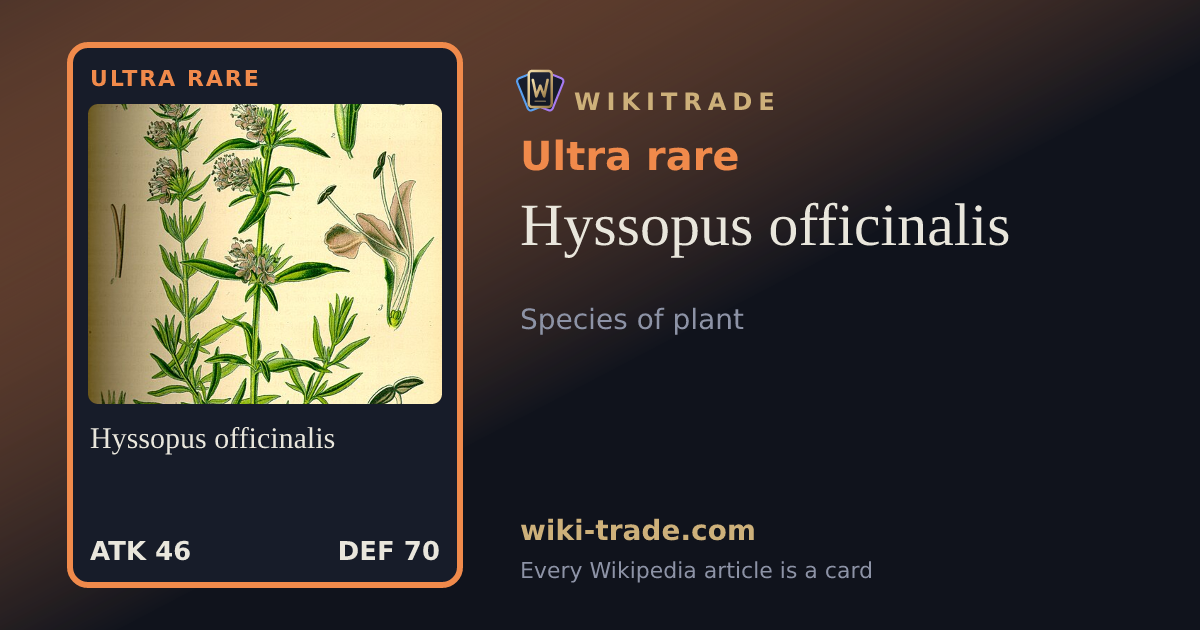 Hyssopus officinalis — Ultra rare card