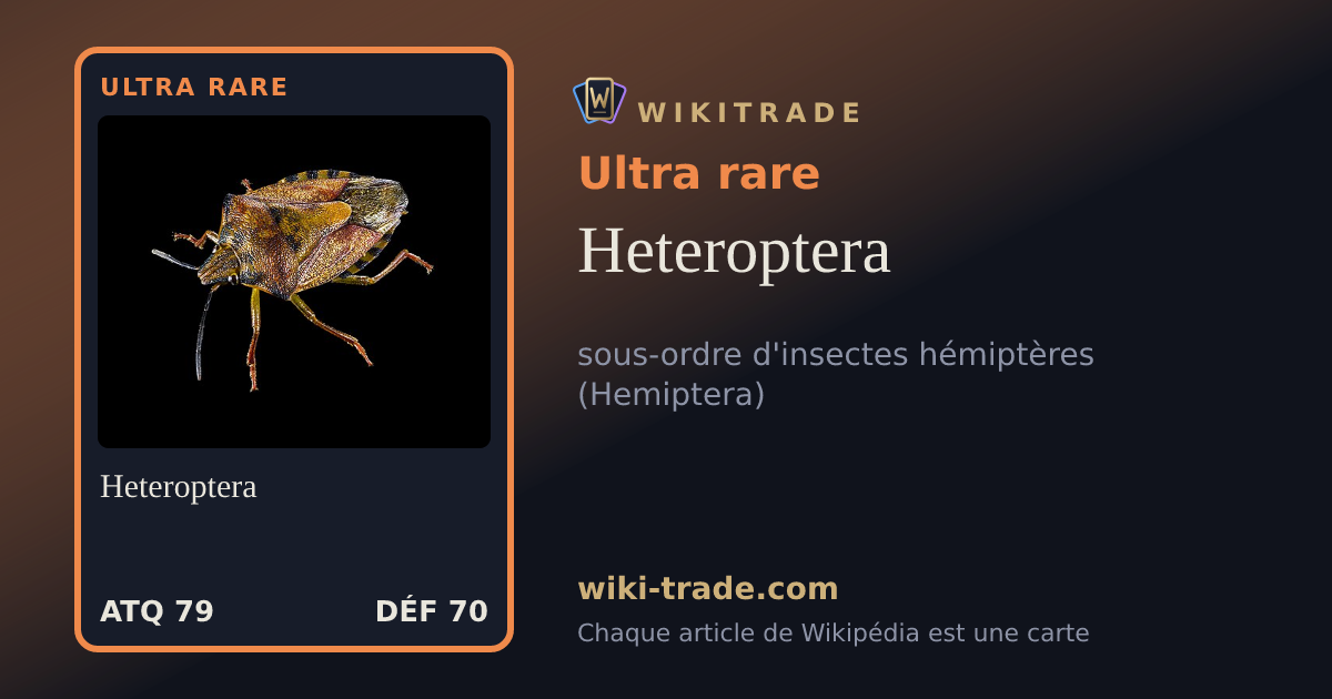 Heteroptera — carte Ultra rare