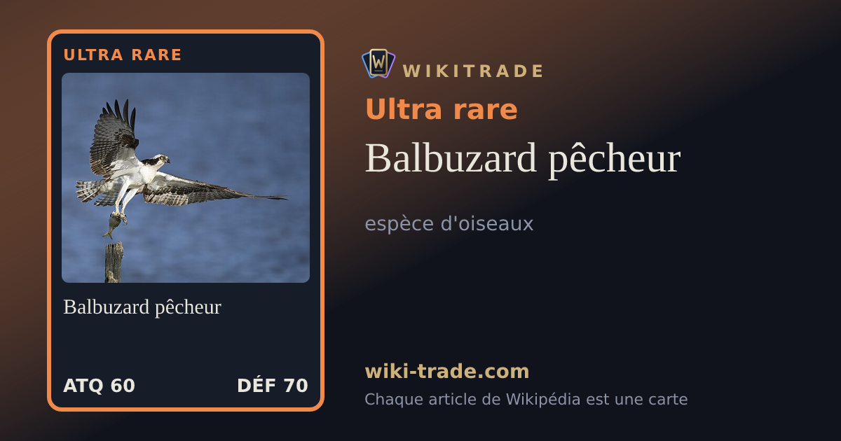 Balbuzard pêcheur — carte Ultra rare
