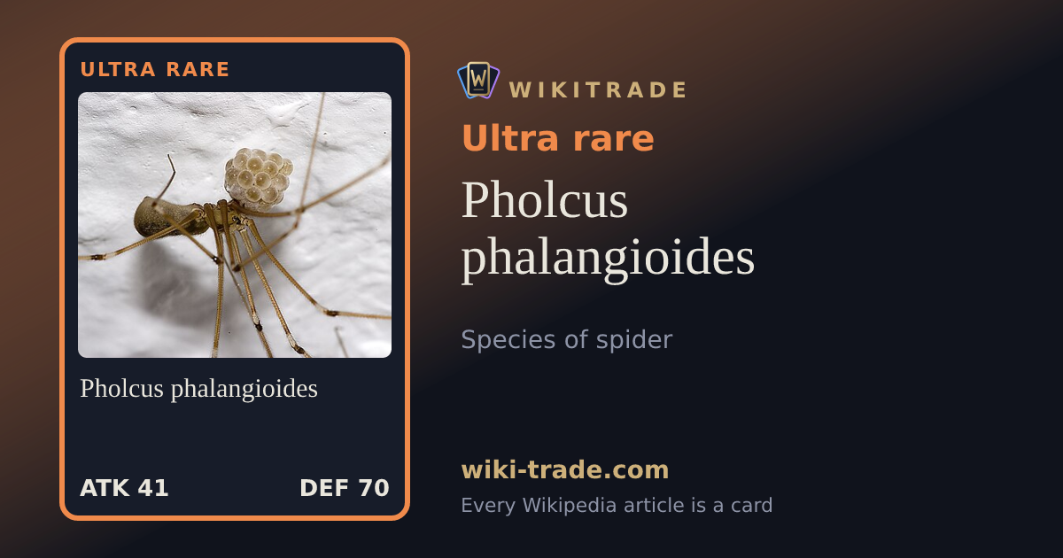 Pholcus phalangioides — Ultra rare card