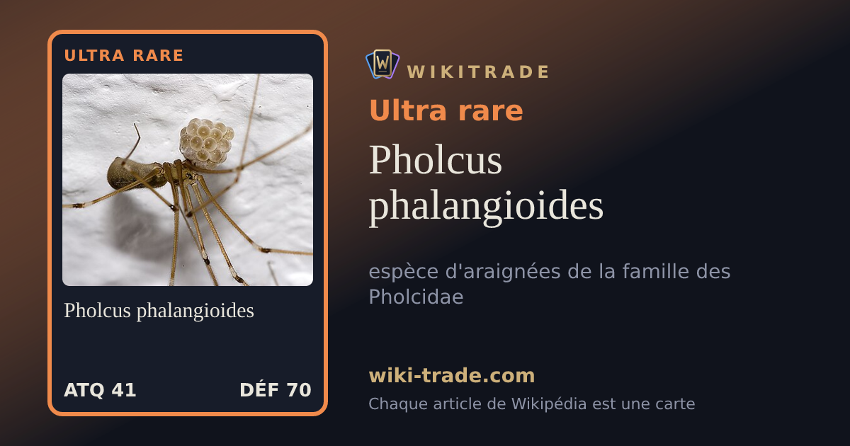 Pholcus phalangioides — carte Ultra rare