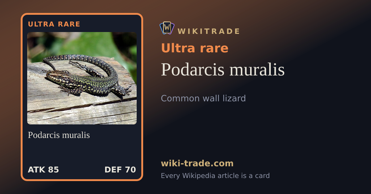 Podarcis muralis — Ultra rare card