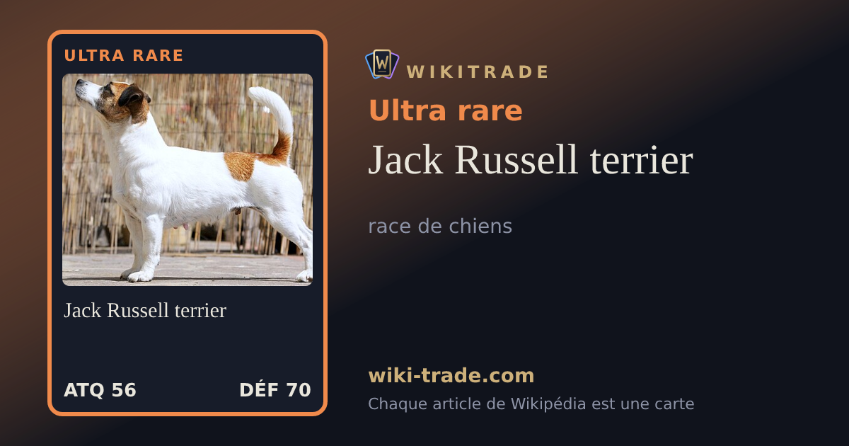 Jack Russell terrier — carte Ultra rare