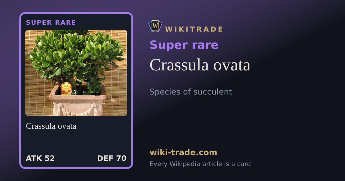 Crassula ovata — Super rare card