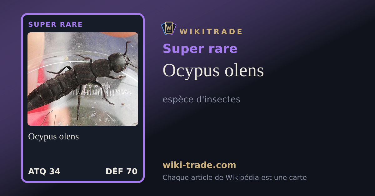 Ocypus olens — carte Super rare
