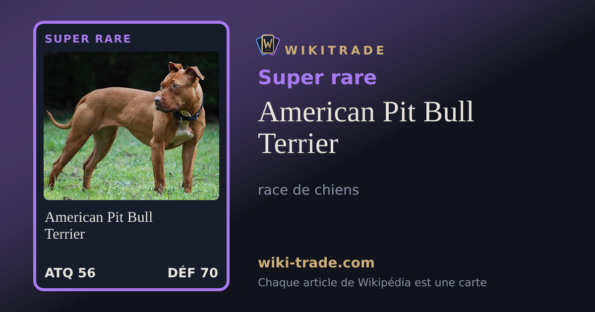 American Pit Bull Terrier — carte Super rare