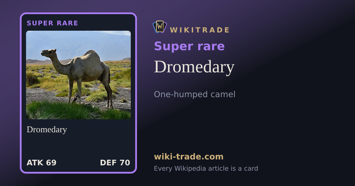 Dromedary — Super rare card