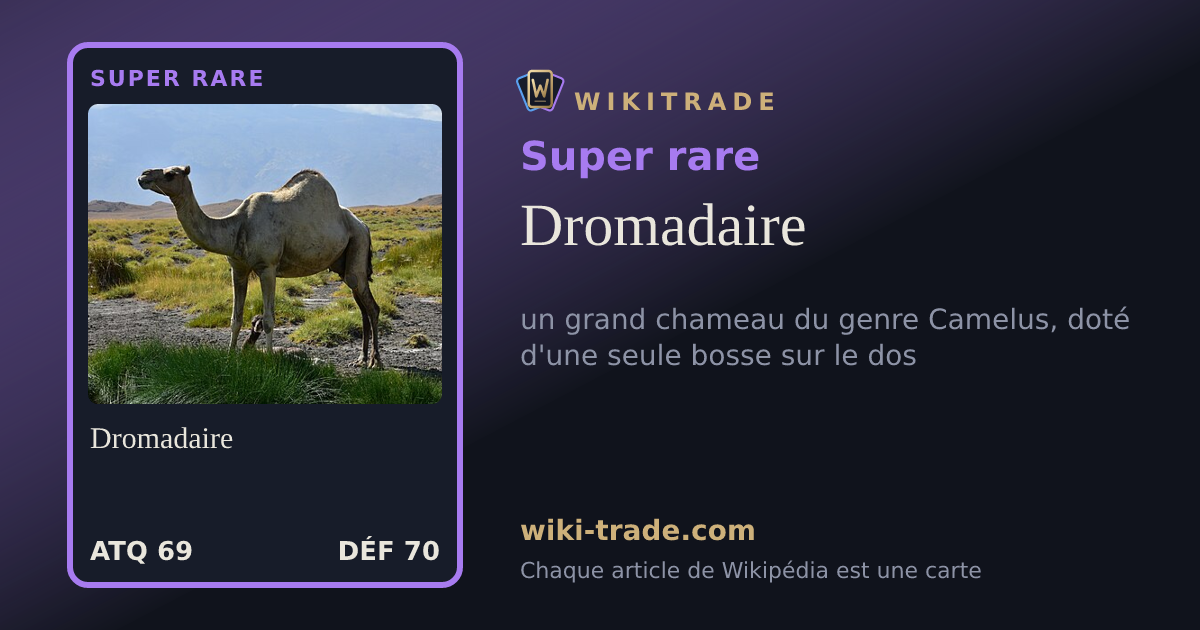 Dromadaire — carte Super rare