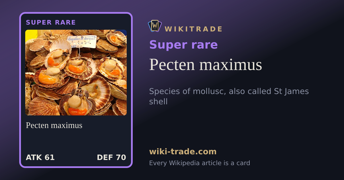 Pecten maximus — Super rare card